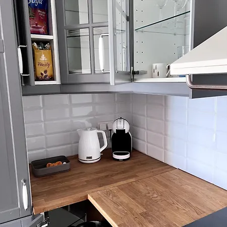 New - In Park - Near By The Center Apartment Warsaw